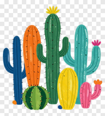 Colorful Cactus Collection PNG