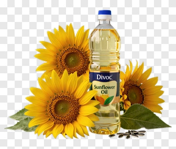 Sunflower Oil With Sunflowers And Seeds PNG