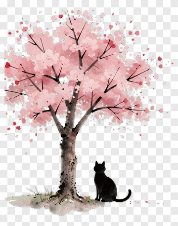 Black Cat Sitting Under A Cherry Blossom Tree PNG