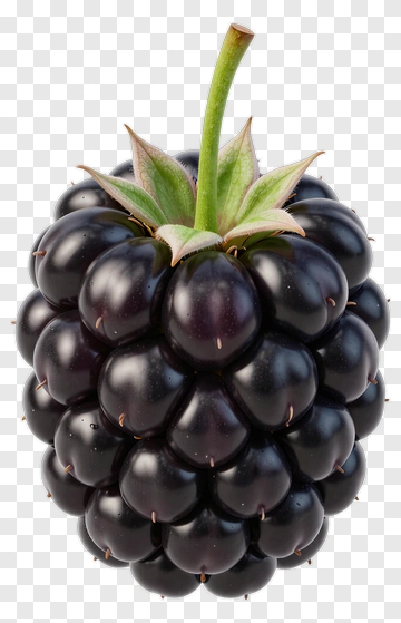 Fresh Blackberry With Green Leaves PNG