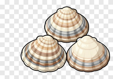 Illustration Of Three Clams PNG