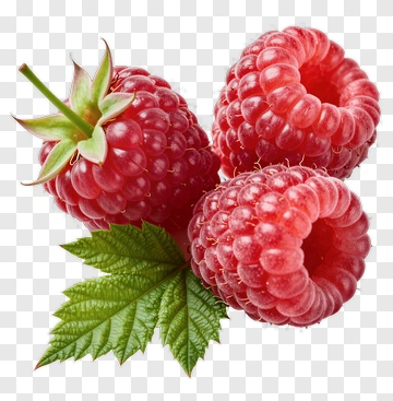 Fresh Raspberries With Green Leaves PNG