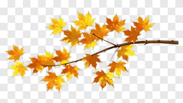 Branch With Autumn Leaves PNG