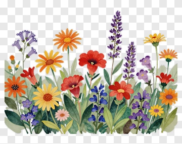 Colorful Flower Bouquet PNG