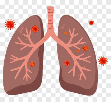 Lungs With Virus Illustration PNG
