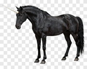 Black Unicorn With A Horn PNG