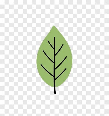 Green Leaf PNG