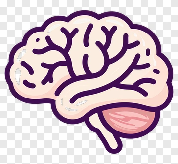 Cartoon Brain Illustration PNG
