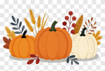 Colorful Pumpkin Arrangement With Autumn Leaves PNG