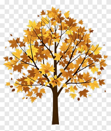 Colorful Tree With Autumn Leaves PNG