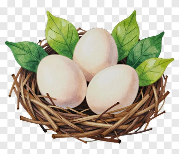 Nest With Three Eggs And Leaves PNG