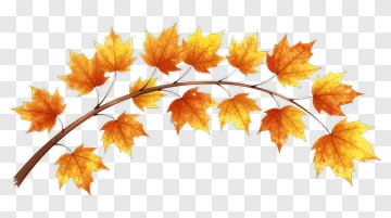 Autumn Maple Leaf Branch PNG