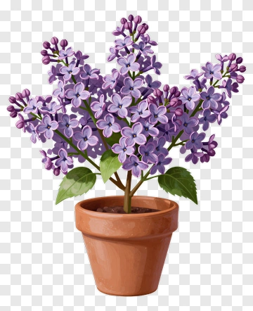 Purple Lilac Flower Pot PNG