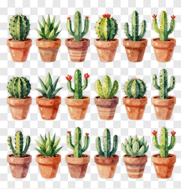 Watercolor Cactus Collection In Pots PNG