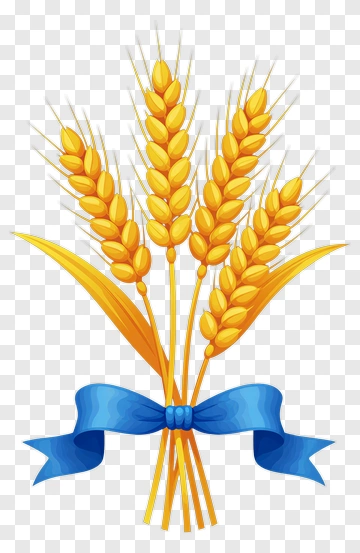 Wheat Sheaf With Blue Ribbon PNG