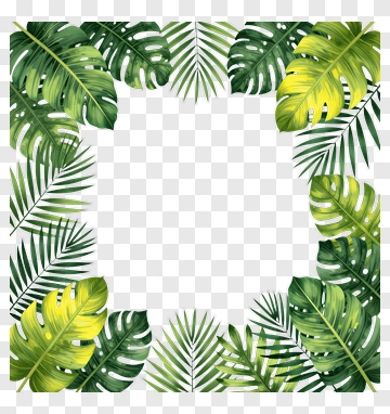 Tropical Leaf Frame PNG
