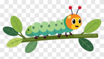 Cartoon Caterpillar On A Branch PNG
