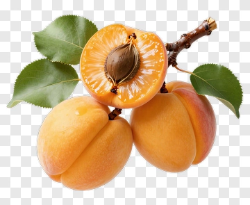 Fresh Apricots With Leaves PNG