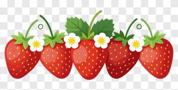 Colorful Strawberries With Flowers PNG