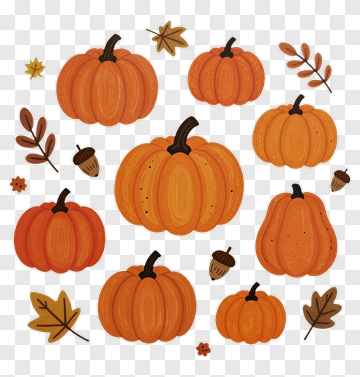 Colorful Pumpkin Collection With Autumn Leaves PNG