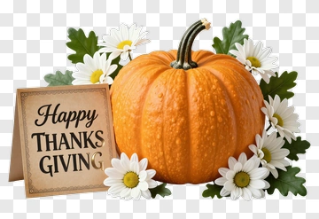 Thanksgiving Pumpkin With Flowers PNG