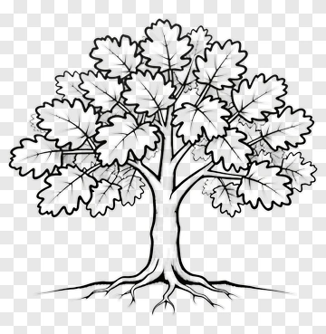 Black And White Tree Illustration PNG