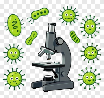 Cartoon Microscope With Green Bacteria PNG