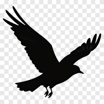 Silhouette Bird In Flight PNG
