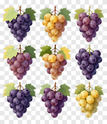 Variety Of Grapes With Leaves PNG