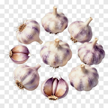 Garlic Bulbs Cluster PNG