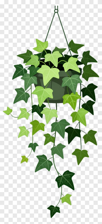 Hanging Ivy Plant In A Pot PNG