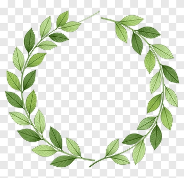 Green Leaf Wreath PNG