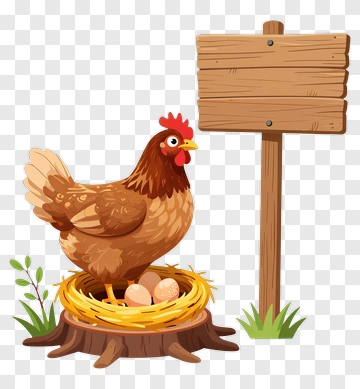 Cartoon Chicken Sitting On Nest With Eggs PNG