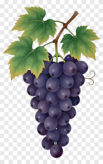 Bunch Of Grapes With Green Leaves PNG