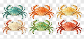 Colorful Crabs Collection PNG