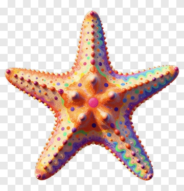 Colorful Starfish PNG