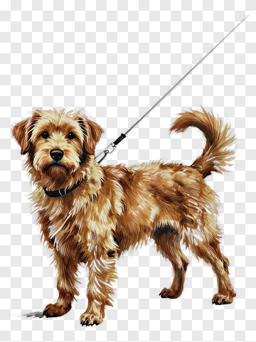Realistic Dog On A Leash PNG
