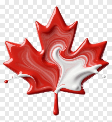Red And White Maple Leaf PNG