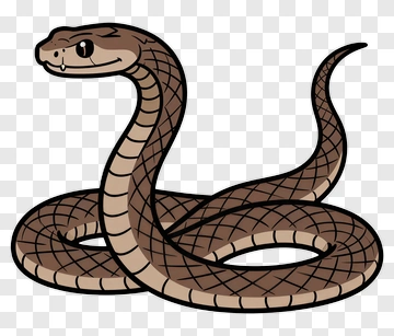 Cartoon Snake PNG