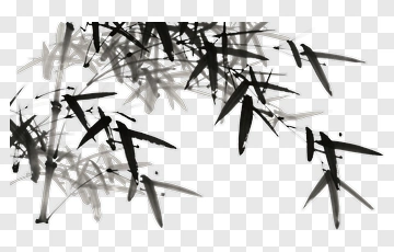 Black Bamboo Leaves PNG