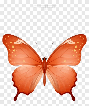 Orange Butterfly PNG