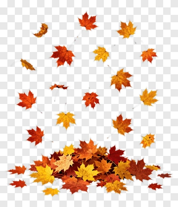 Colorful Autumn Leaves Falling PNG