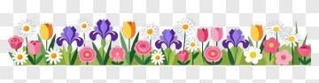 Colorful Flower Border PNG