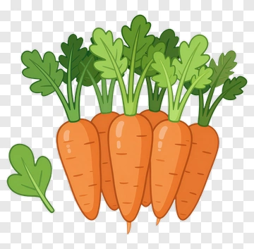 Colorful Carrots With Green Leaves PNG