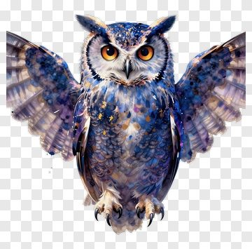 Colorful Owl With Outstretched Wings PNG