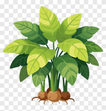 Colorful Green Plant With Leaves PNG