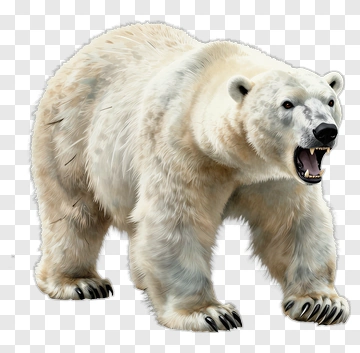 Realistic Polar Bear PNG