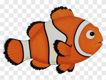 Cartoon Clownfish PNG