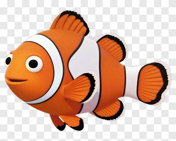 Cartoon Clownfish Swimming PNG