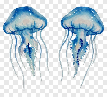Watercolor Jellyfish Illustration PNG